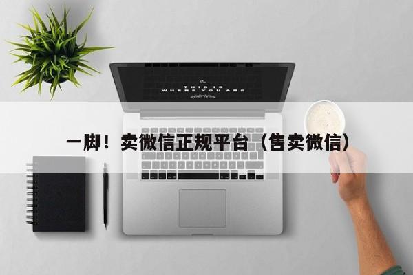 一脚！卖微信正规平台（售卖微信）