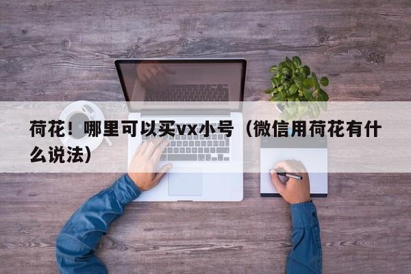 荷花！哪里可以买vx小号（微信用荷花有什么说法）
