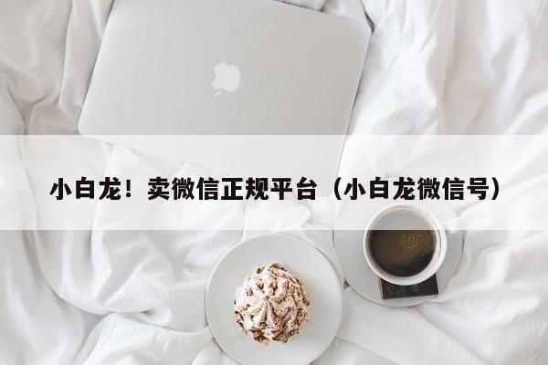 小白龙！卖微信正规平台（小白龙微信号）