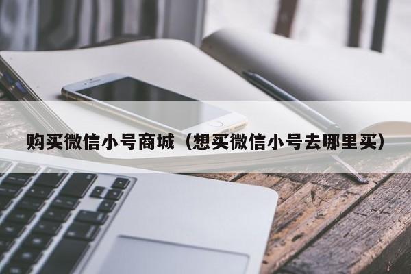 购买微信小号商城（想买微信小号去哪里买）