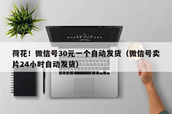 荷花！微信号30元一个自动发货（微信号卖片24小时自动发货）