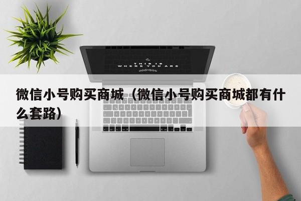 微信小号购买商城(微信小号购买商城都有什么套路)