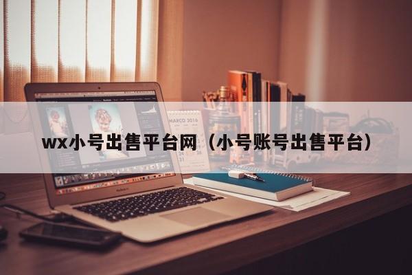 wx小号出售平台网（小号账号出售平台）