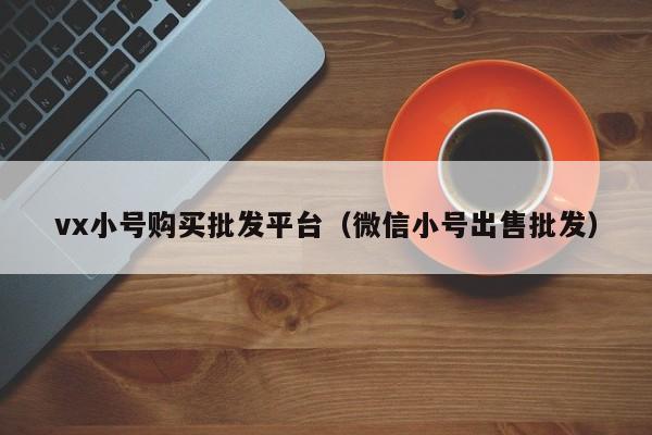 vx小号购买批发平台（微信小号出售批发）