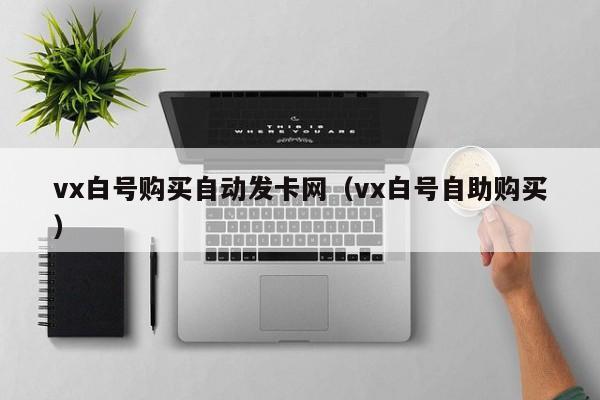 vx白号购买自动发卡网（vx白号自助购买）