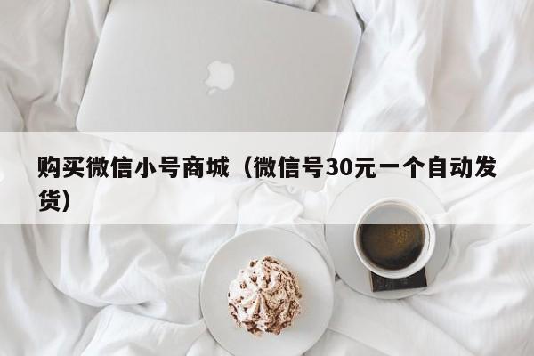 购买微信小号商城（微信号30元一个自动发货）