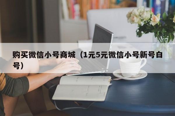 购买微信小号商城(1元5元微信小号新号白号)