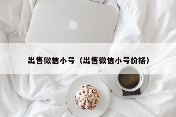 出售微信小号（出售微信小号价格）