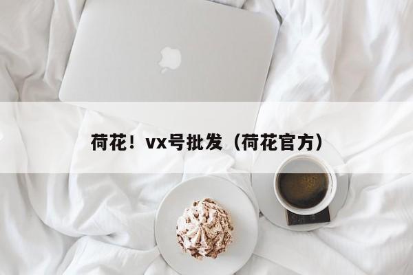 荷花！vx号批发（荷花官方）