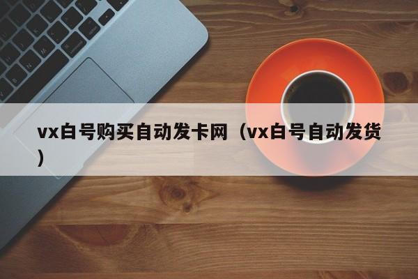 vx白号购买自动发卡网（vx白号自动发货）