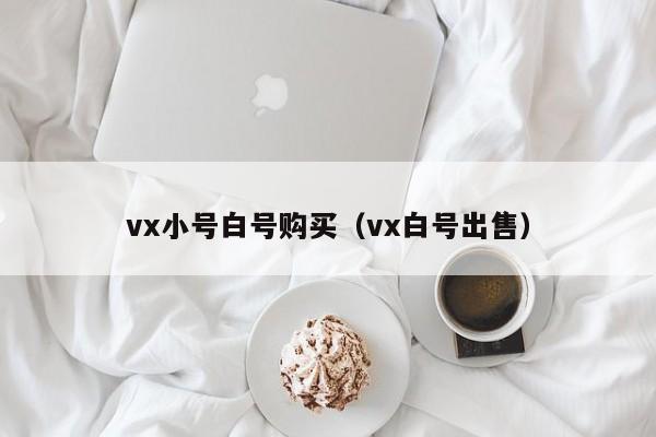 vx小号白号购买（vx白号出售）