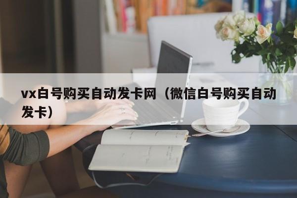 vx白号购买自动发卡网(微信白号购买自动发卡)