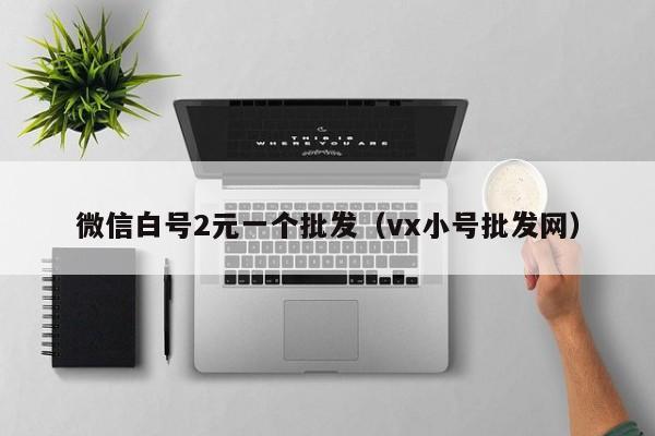 微信白号2元一个批发(vx小号批发网)
