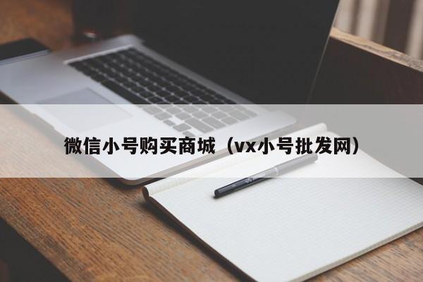 微信小号购买商城（vx小号批发网）