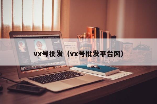 vx号批发（vx号批发平台网）