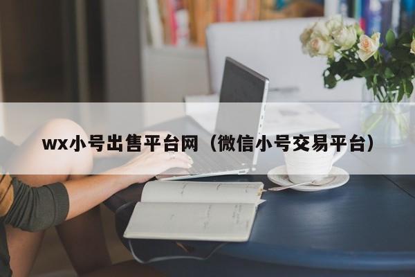wx小号出售平台网(微信小号交易平台)