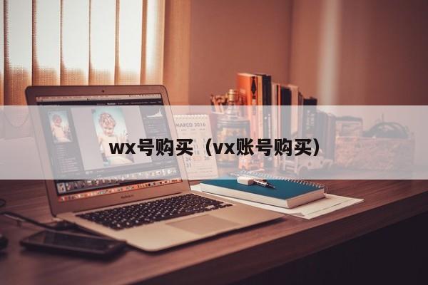 wx号购买（vx账号购买）