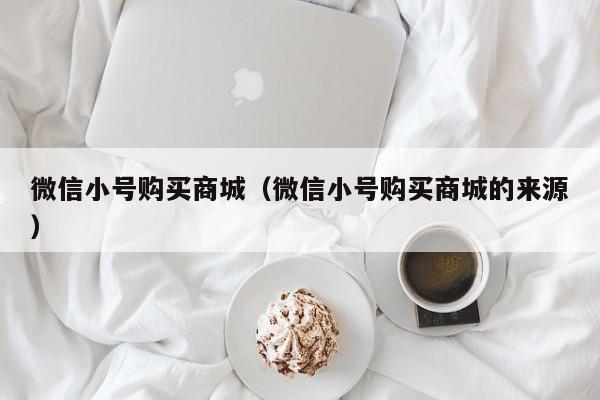 微信小号购买商城（微信小号购买商城的来源）