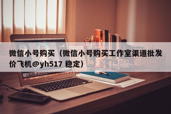 微信小号购买（微信小号购买工作室渠道批发价飞机@yh517 稳定）