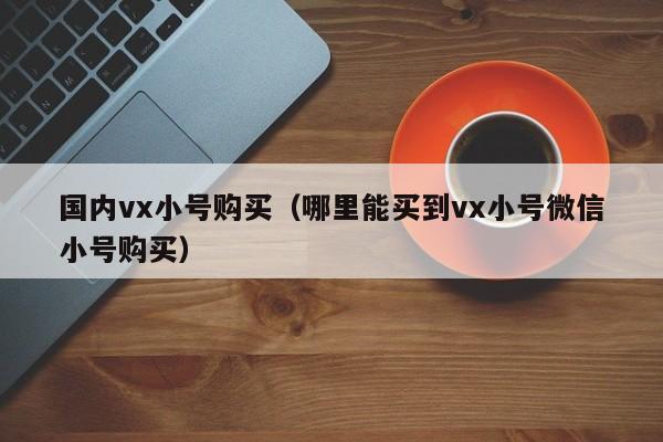 国内vx小号购买（哪里能买到vx小号微信小号购买）