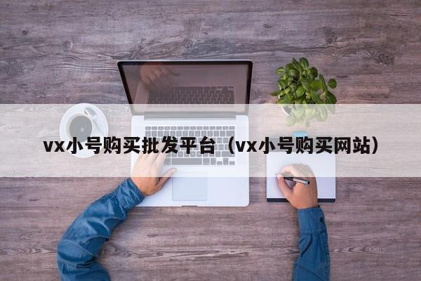 vx小号购买批发平台（vx小号购买网站）