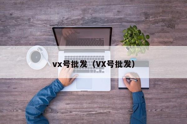 vx号批发（VX号批发）