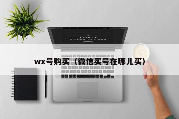 wx号购买（微信买号在哪儿买）