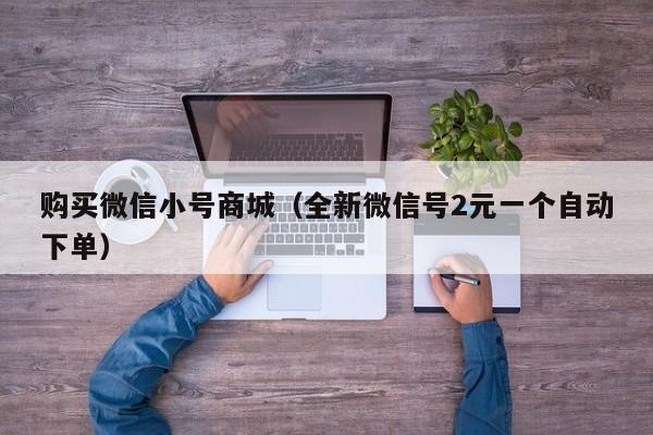 购买微信小号商城（全新微信号2元一个自动下单）