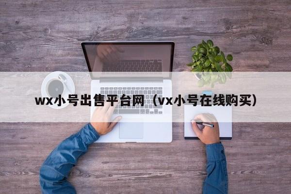 wx小号出售平台网（vx小号在线购买）
