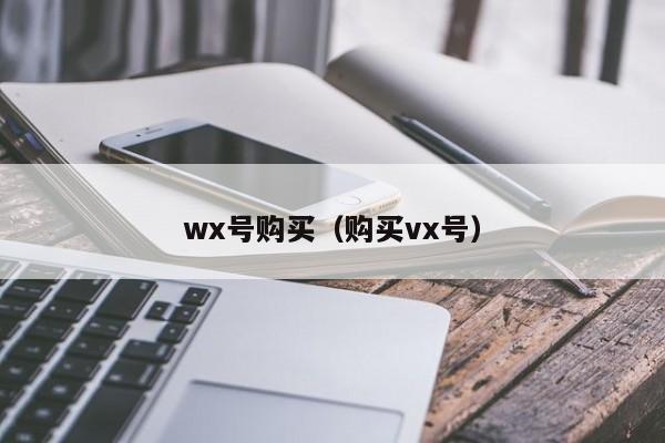 wx号购买（购买vx号）