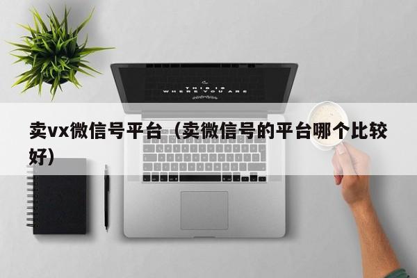卖vx微信号平台(卖微信号的平台哪个比较好)