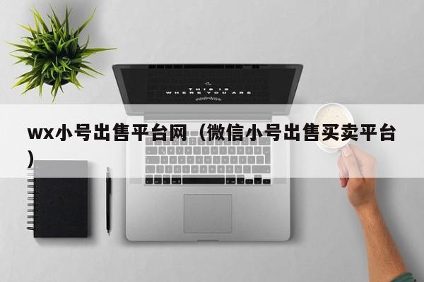 wx小号出售平台网（微信小号出售买卖平台）