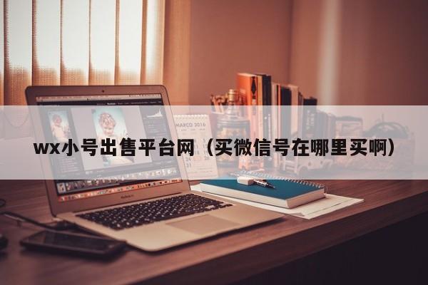 wx小号出售平台网（买微信号在哪里买啊）