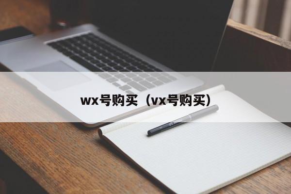 wx号购买(vx号购买)
