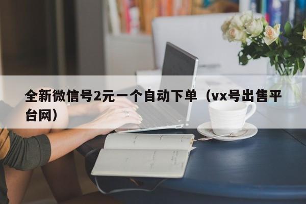 全新微信号2元一个自动下单(vx号出售平台网)